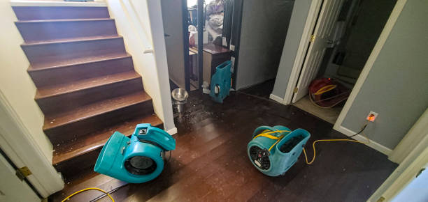 Best 24/7 water damage repair  in Warson Woods, MO