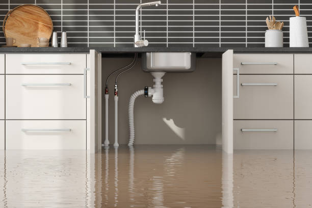 Best Residential water damage restoration  in Warson Woods, MO