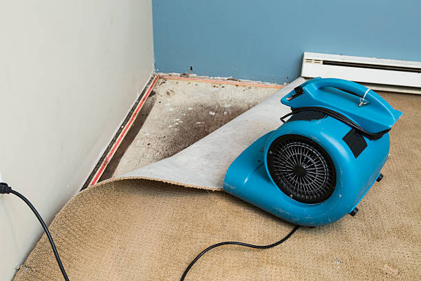 Best Flood restoration services  in Warson Woods, MO